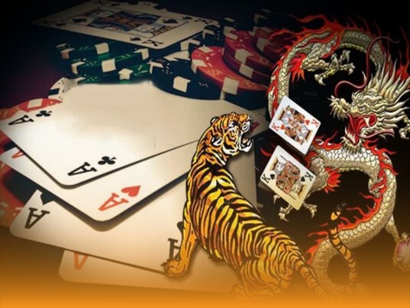 Thao tác đặt cược đơn giản, dễ dàng cho người mới